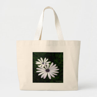Je sac deux