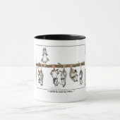 "Je sais qu'il tasse a volé mon café" (Centre)