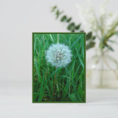 Je souhaite une carte postale (Debout devant)