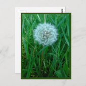 Je souhaite une carte postale (Devant / Derrière)