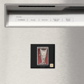 Je stommiteit is verblindend 2 magneet (Insitu (Vaatwasser))