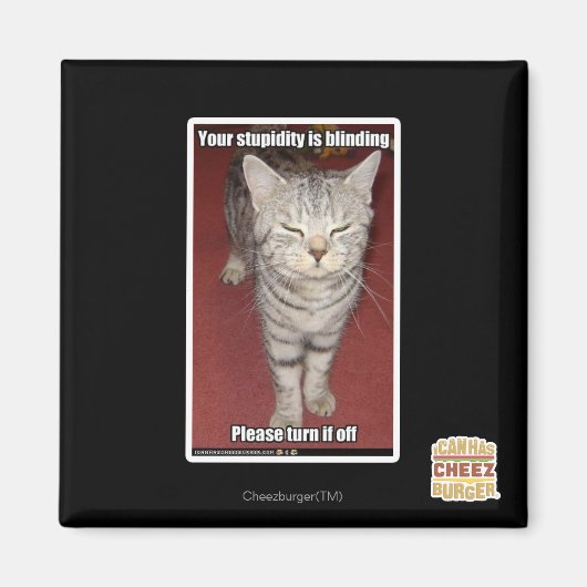 Je stommiteit is verblindend 2 magneet (Voorkant)