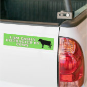 Je Suis Aisément Distrait Par Un Sticker À Vaches (Sur camion)