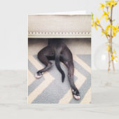 Je suis carte de voeux désolée (Fleur jaune)