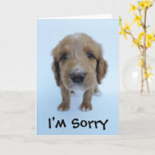 Je suis carte désolée (Fleur jaune)