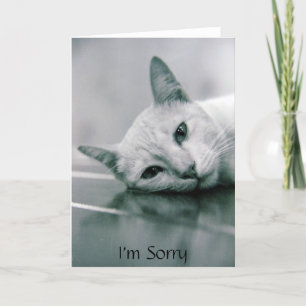 Je suis carte désolée de chat