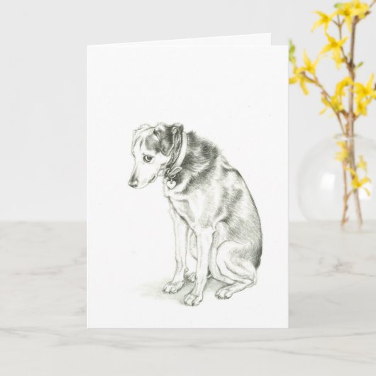 "Je suis" carte désolée de Dixie (Fleur jaune)