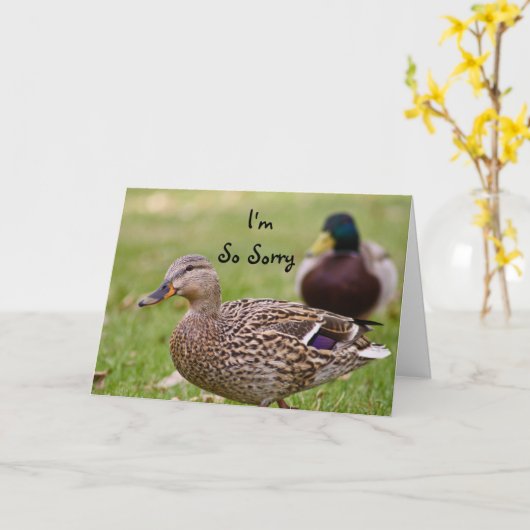 Je suis carte tellement désolée de canard (Fleur jaune)
