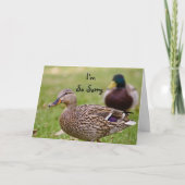 Je suis carte tellement désolée de canard (Devant)