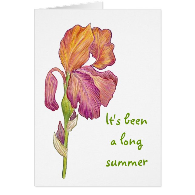 Je suis content que tu sois de retour (Devant)