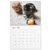 Je suis dans le calendrier de chats et de chatons (Mar 2026)