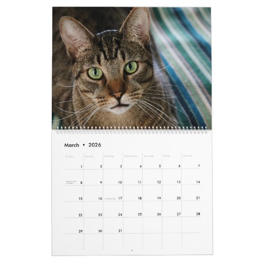 Je suis DANS LE CALENDRIER des CHATS 2018 par (Mar 2026)
