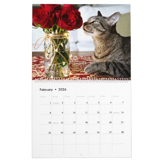 Je suis DANS LE CALENDRIER des CHATS 2018 par (Feb 2026)