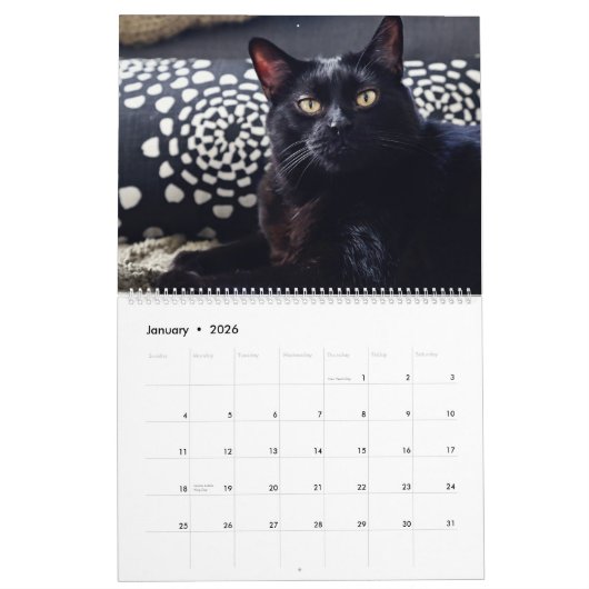 Je suis DANS LE CALENDRIER des CHATS 2018 par (Jan 2026)