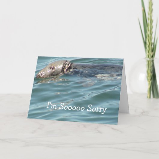 Je suis Désolé Carte (Devant)