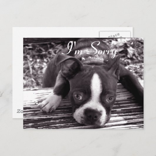 Je suis Désolé Carte (Devant / Derrière)