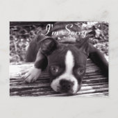 Je suis Désolé Carte (Devant)