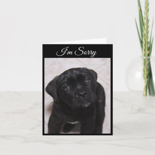 Je suis Désolé Carte - Mastiff Puppy (Devant)