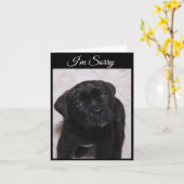 Je suis Désolé Carte - Mastiff Puppy (Fleur jaune)