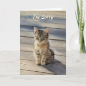 Je Suis Désolé Mignon Chaton Carte Féline (Devant)