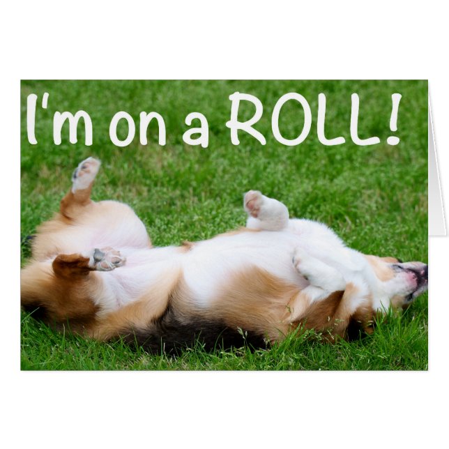 je suis en ROLL ! (Devant horizontal)