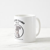 Je suis entraîné par une mug Schnauzer (Devant droit)