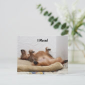 Je suis épuisé ! Carte postale (Debout devant)