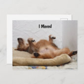 Je suis épuisé ! Carte postale (Devant / Derrière)