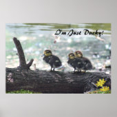 Je suis Juste Ducky ! Poster -36x24 -autres taille (Devant)