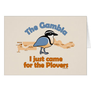 Je suis juste venu pour les pluviers