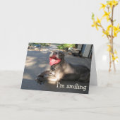 Je suis la carte d'anniversaire de Pitbull sourian (Fleur jaune)