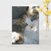 Je suis là pour ta carte (Fleur jaune)