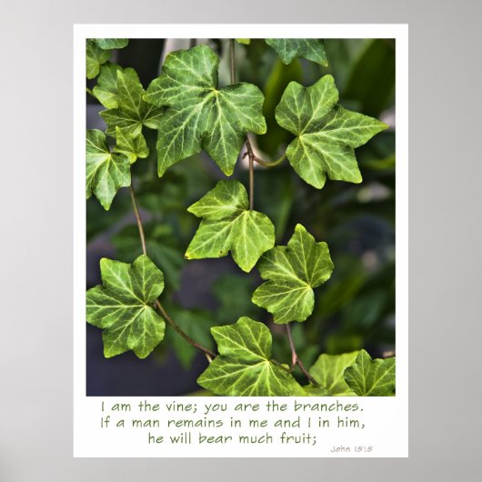Je suis la vigne Poster Jean 15:5 citation (Devant)