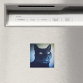 Je Suis Un Magnet De Chat (In Situ (Lave-vaisselle))
