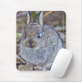 Je suis un tel amour ! Tapis de souris (Avec souris)