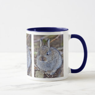 Je suis une si jolie tasse !