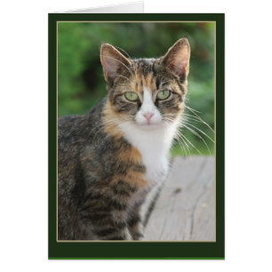 Je suis venu... J'ai puré