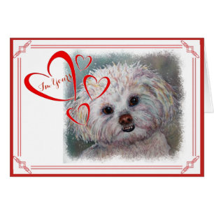 JE SUIS VOTRE VALENTINE SWEET WHITE MALTESE YORKIE