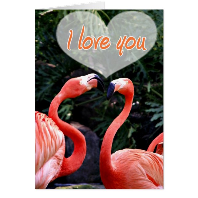 Je t'aime_ (Devant)