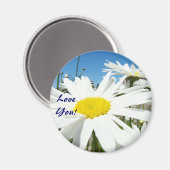 Je t'aime ! aimants Fleurs de Marguerite Blanche C (Recto/Verso)