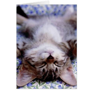 Je t'aime carte photo
