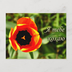 Je t'aime carte postale