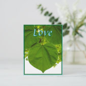 Je t'aime comme le soleil Carte de vacances Leaf F (Debout devant)