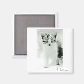 Je t'aime Kitten Magnet (Recto/Verso)