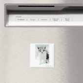Je t'aime Kitten Magnet (In Situ (Lave-vaisselle))