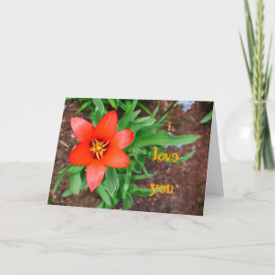 Je t'aime, la carte rouge Tulip
