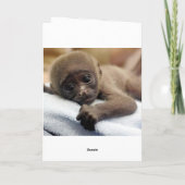 "Je t'aime plus que des bananes !" La carte de (Dos)