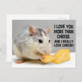 Je T'Aime Plus Que Fromage Pet Rat Carte Postale (Devant / Derrière)