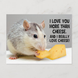 Je T'Aime Plus Que Fromage Pet Rat Carte Postale