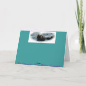 Je t'aime vraiment Carte de voeux de loutres de me (Dos)